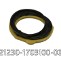21230-1703100-00.png